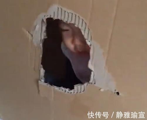 宝妈|为哄娃能乖乖吃饭,宝妈想出的这招获高赞,网友:双方属实不易啊