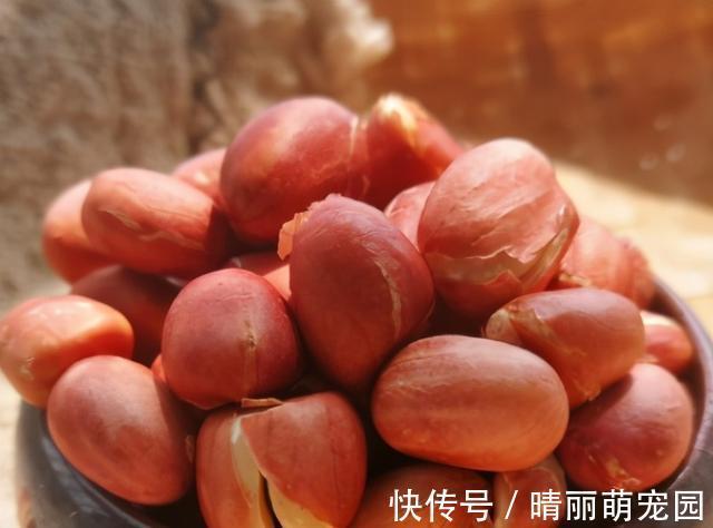 酥脆|花生米不用炒，用盐水泡一泡，比炒得好吃，鲜香酥脆，越吃越过瘾