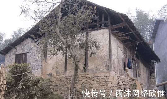 农村|致农村那些逝去的老房子……