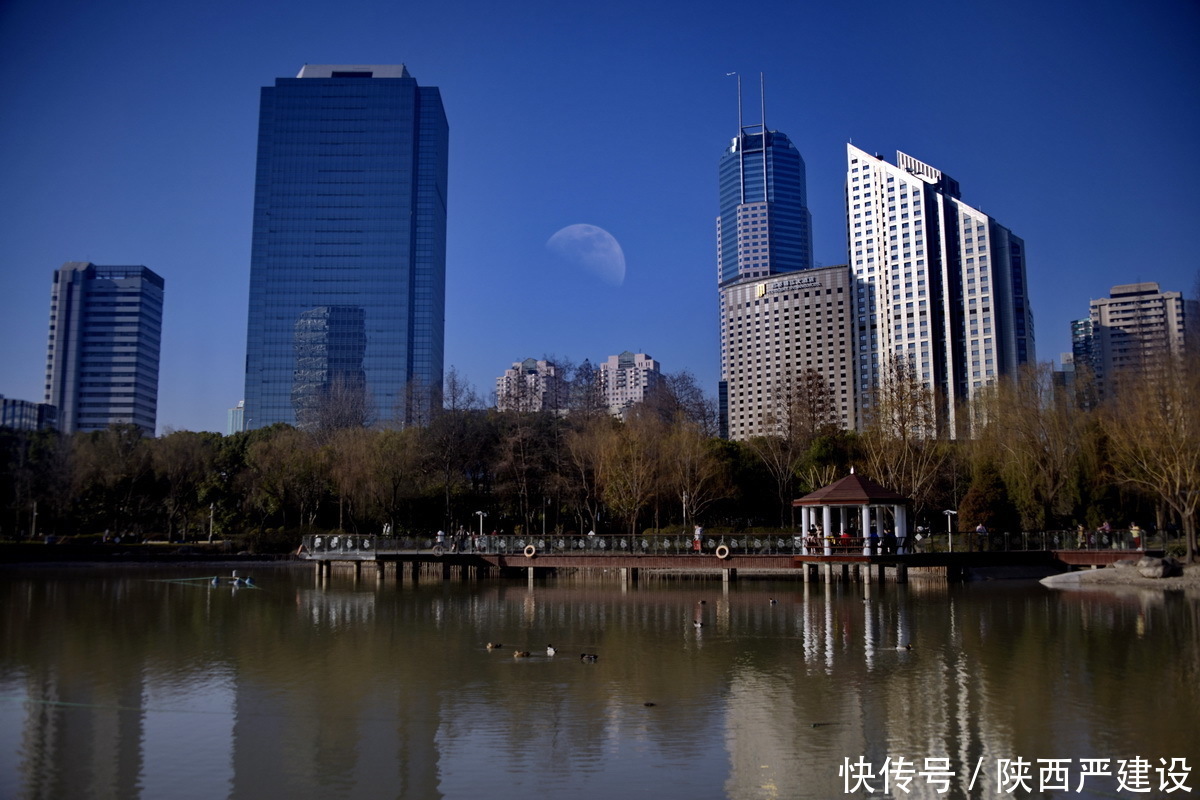 老年|新虹口花园的玉兰花开了【严建设】