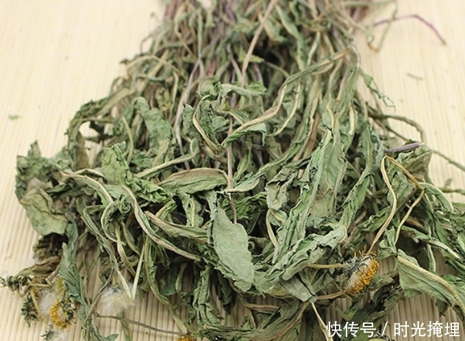 不起眼|蒲公英泡水喝只能降火?要是有这些病症也能用蒲公英来缓解