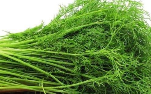 没事吃点茴香，5个好处登门拜访，不爱吃的朋友可惜了！