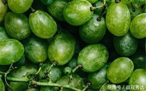 魔芋|身体健康的人,都在吃的食物,净化血液,活血养颜,吃了体质更好