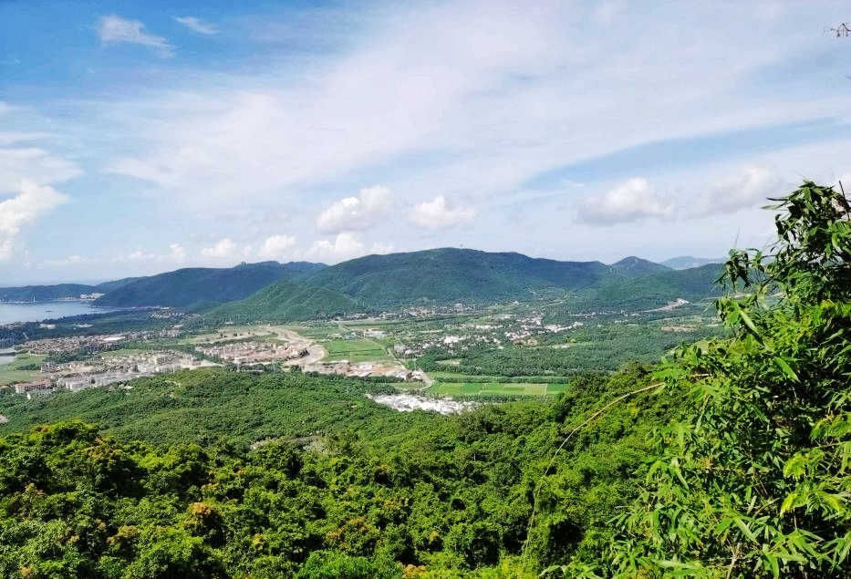 不一样的热带雨林，不一样的美丽风景——游亚龙湾热带天堂森林公园