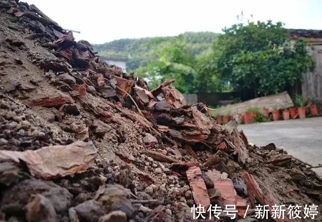 花盆|兰盆的土总是太湿怎么办？教你小技巧，把土壤调节到最佳状态