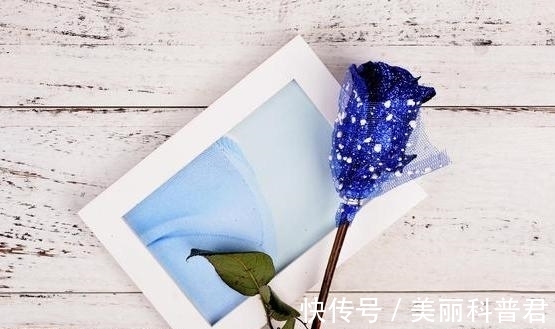 一阵风&如果有人不喜欢你,记住莫言的3句话你就赢了,很聪明