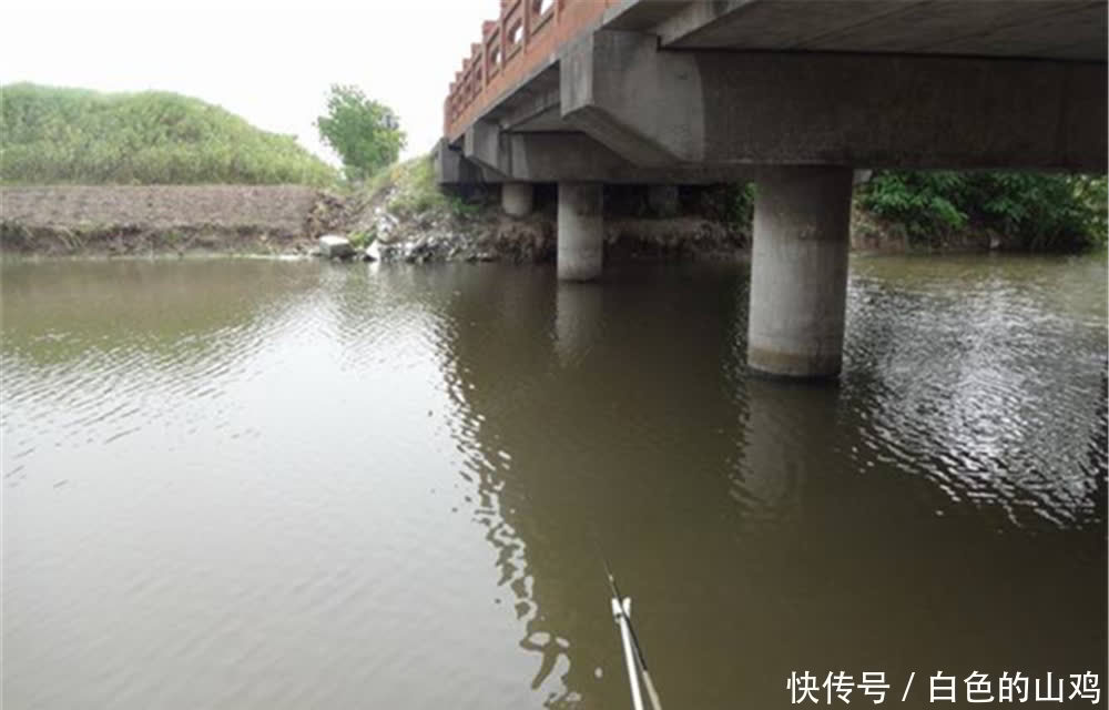 5月初夏钓鱼,不用着急钓深水,这些浅水位置有鱼窝,还能钓几波