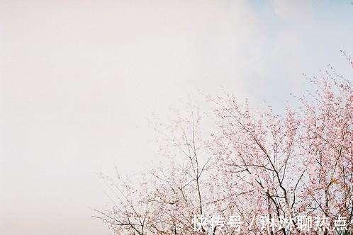 甲亢|甲亢患者 最后一片叶子叫希望