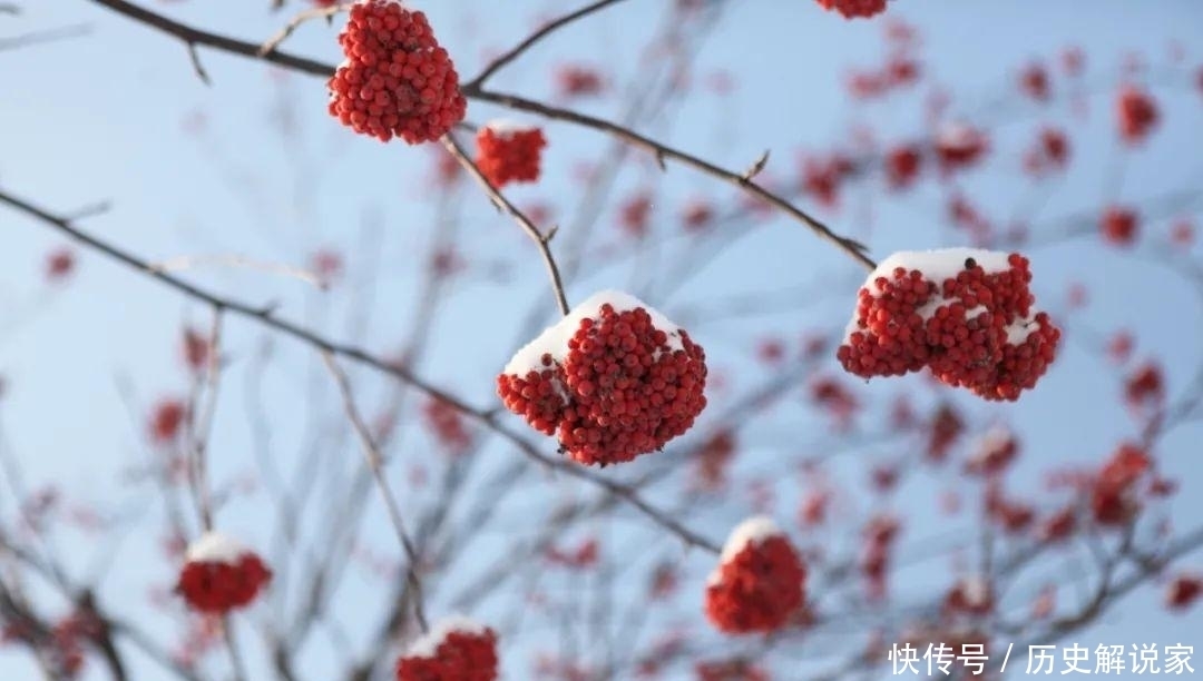 初雪|文旅饶河：初雪乍到 今冬第一场雪