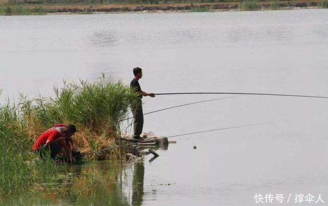技巧|冬季传统钓更有优势?三个技巧用上真的比台钓渔获更多--皇禾钓具