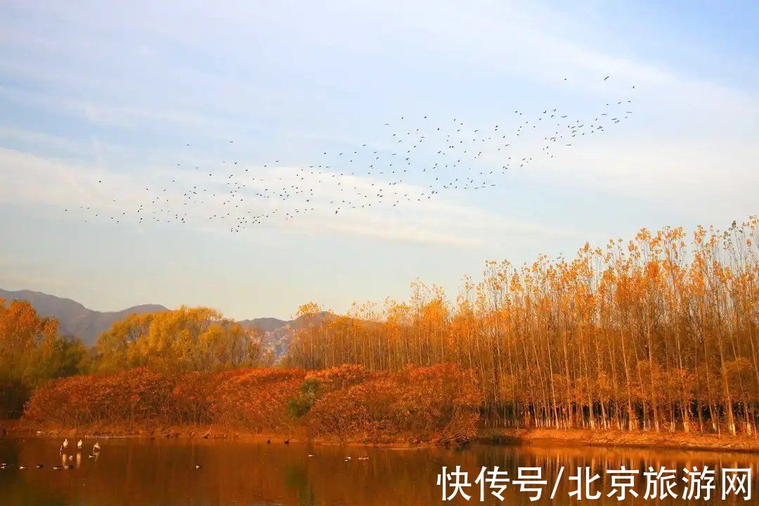 秋色|这个北京绝美的国家湿地公园大部分人都没来过，一起看看它的秋天