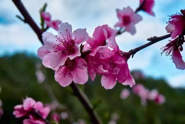 美好的生活|2022年好运来临,喜提好运,幸福八方来的3大生肖