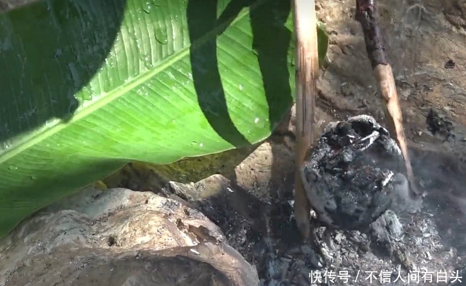 柚子|农村小伙把柚子掏空后,放了十几块鸡肉进去煮,揭开之后尴尬了