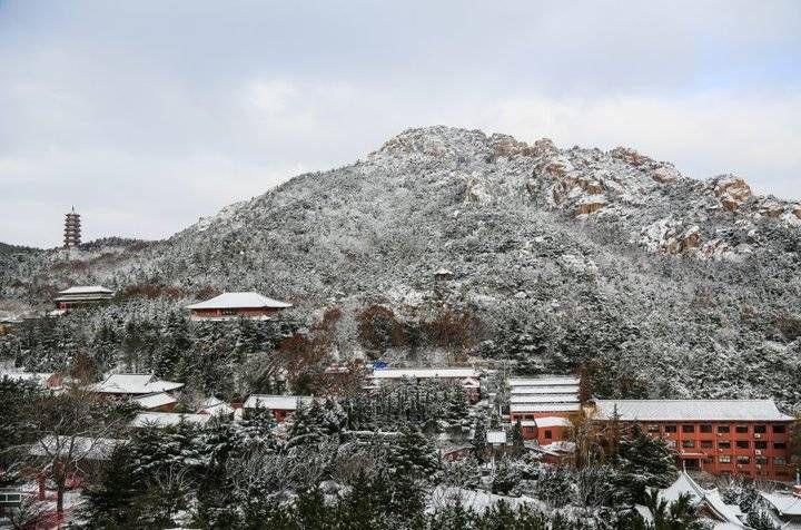 今冬|石岛今冬第一场雪如约而至，好美啊