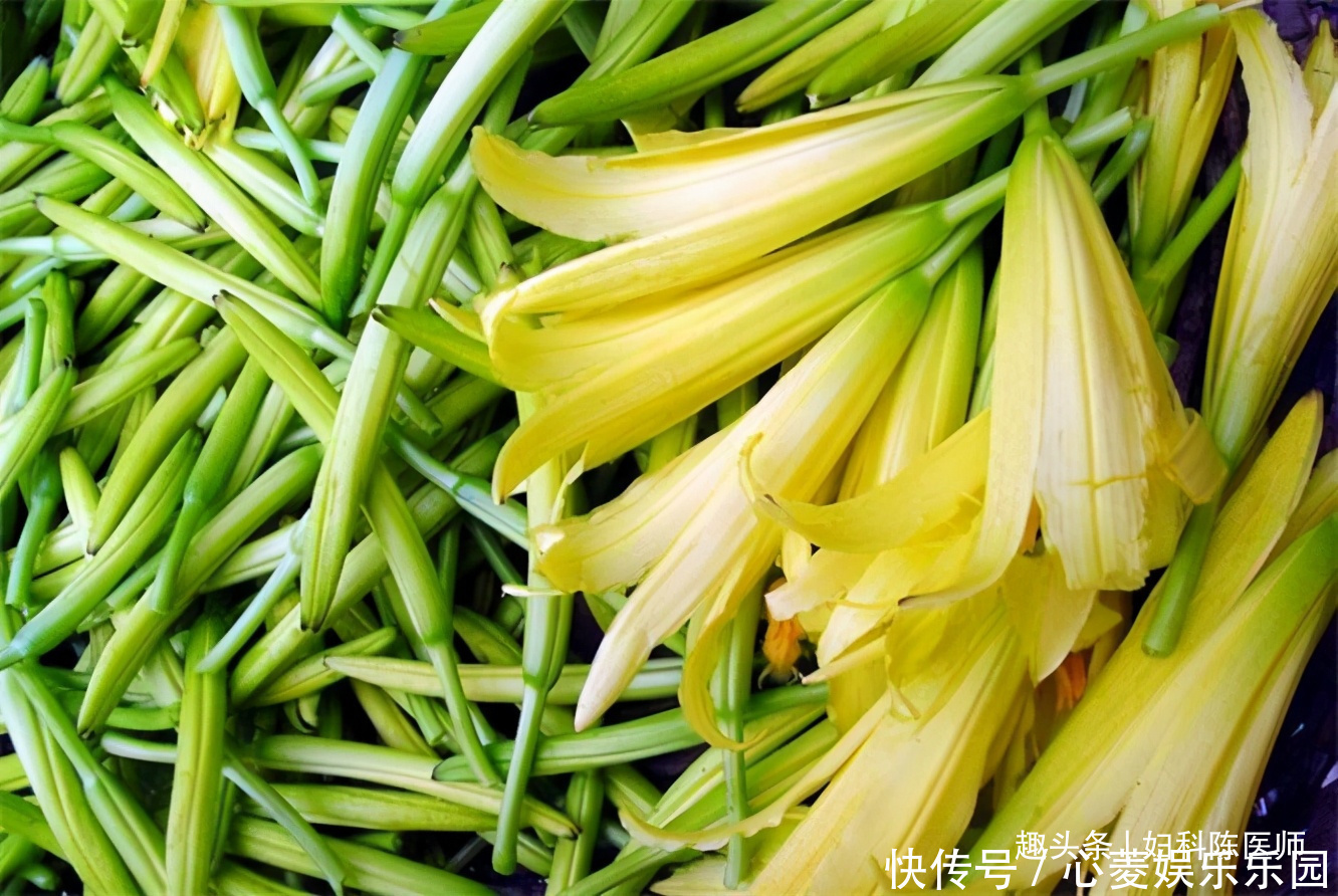 含有|人到中年想长寿,常吃3种食物,调理肠胃,延缓衰老,有益健康