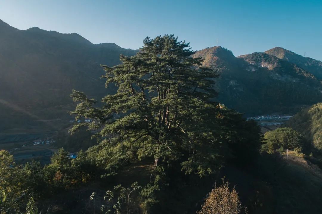 秦岭秘境新发现——留坝许家山，藏在陕南的关中古村