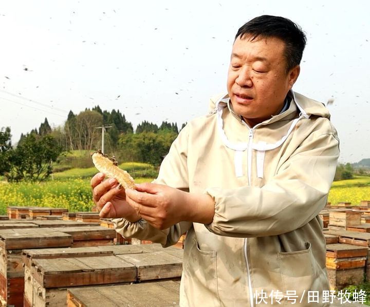 面团|蜂蜜食品做法大全?蜂蜜可以做哪些美食?