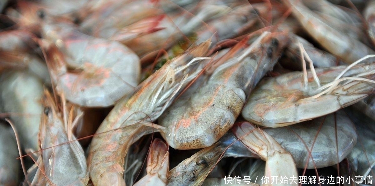 中国对虾|它比牛羊肉便宜,比猪肉好吃,鲜美不上火,适合现在吃