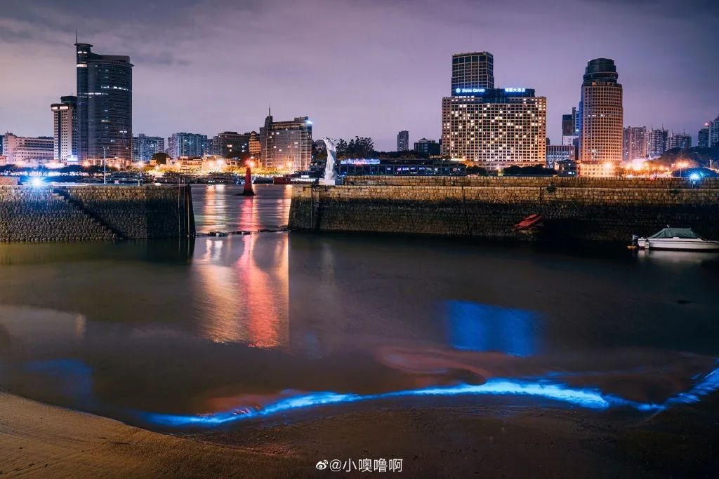 海峡导报|突发！厦门海沧湾公园人人人人人