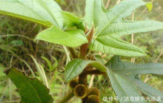 湿气重的人,谨记晨起3不要,晚上3远离,湿气慢慢消失不见