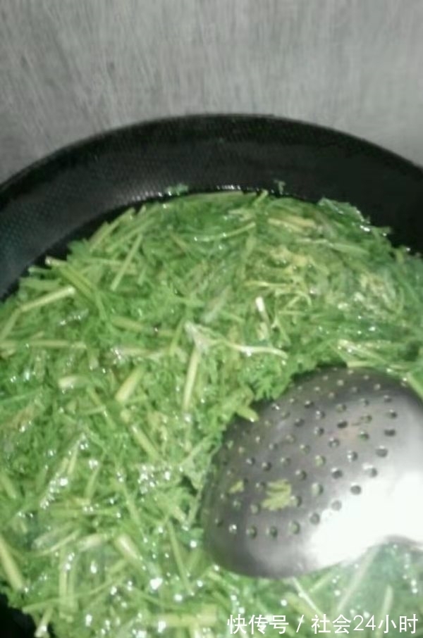 黄花蒿|遇上“秋老虎”别慌，多吃这种菜，只需简单一拌，养脾又消痰