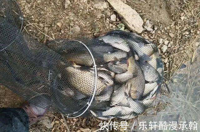 冬季野钓请避开这几个坑,大板鲫拉到手软
