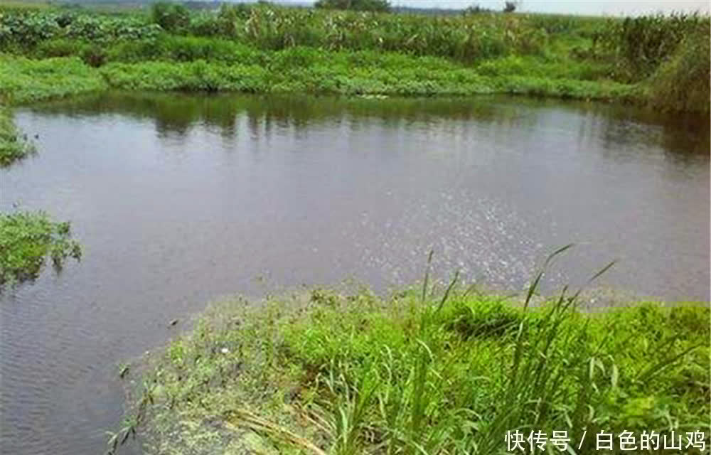 5月初夏钓鱼,不用着急钓深水,这些浅水位置有鱼窝,还能钓几波