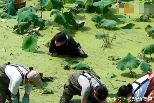 《向往》干活再遭质疑，前有挖藕后有种树，网友：哇偶，当我们瞎