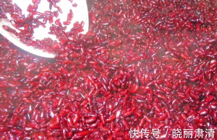 黑米酒酿|天冷了,少吃柿子多吃它,一次做好存冰箱,随吃随取,特省事