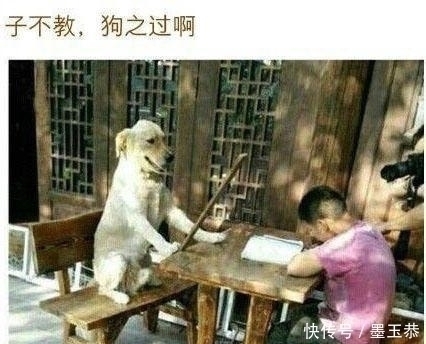 |幽默段子:给女友发信息,点错键竟然发给了隔壁姑娘,结果她