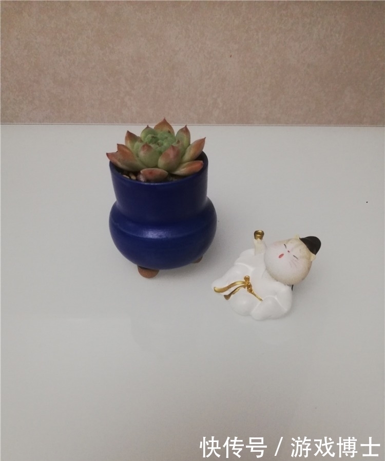 一肉一世界,一方一净土