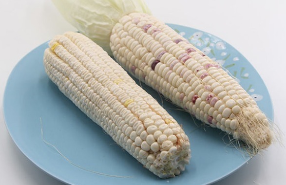 糖友|61岁大妈控糖六年，血糖值从16.3降到6.5，大家学习就是赚到！