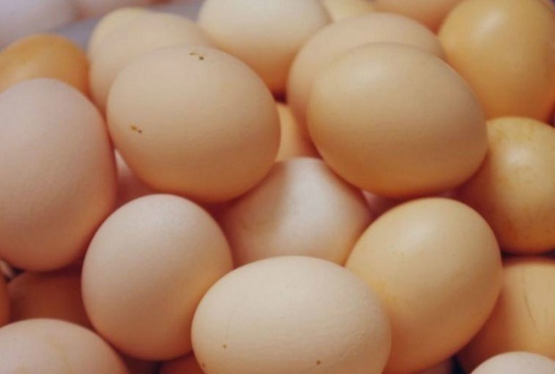 肝脏|常吃鸡蛋,好处多多,但切记1禁忌,还有人不了解,怪不得不营养