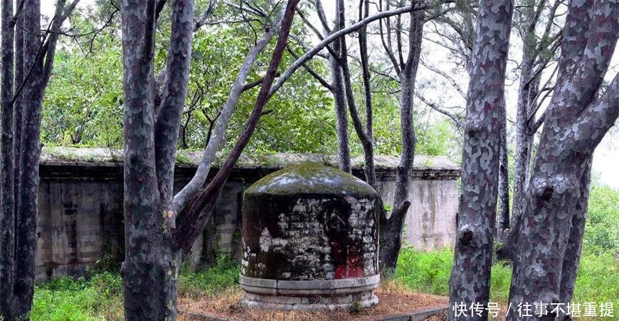  规矩|古代盗墓有条不成文的规矩看到墓前有此树，盗墓贼头都不回就走！