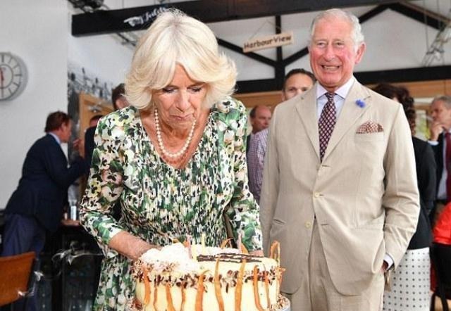 蓝宝石!戴安娜婚戒平淡无奇,卡米拉婚戒是无价之宝,查尔斯送礼太偏心了