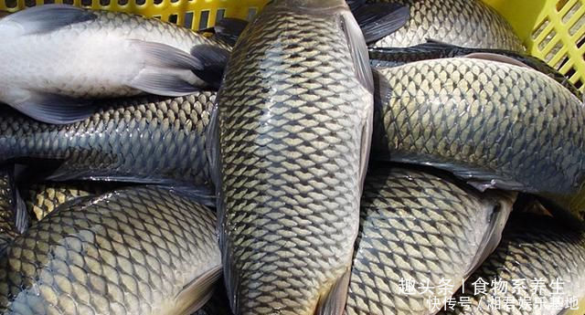 可惜|它曾是“四大名鱼”之一,想吃靠运气,如今5元一斤没人买,可惜
