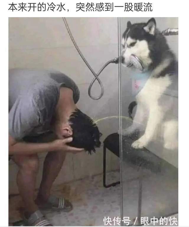 |搞笑合集:村子里有一群神秘人,整日打牌不愁吃喝,哪来的钱