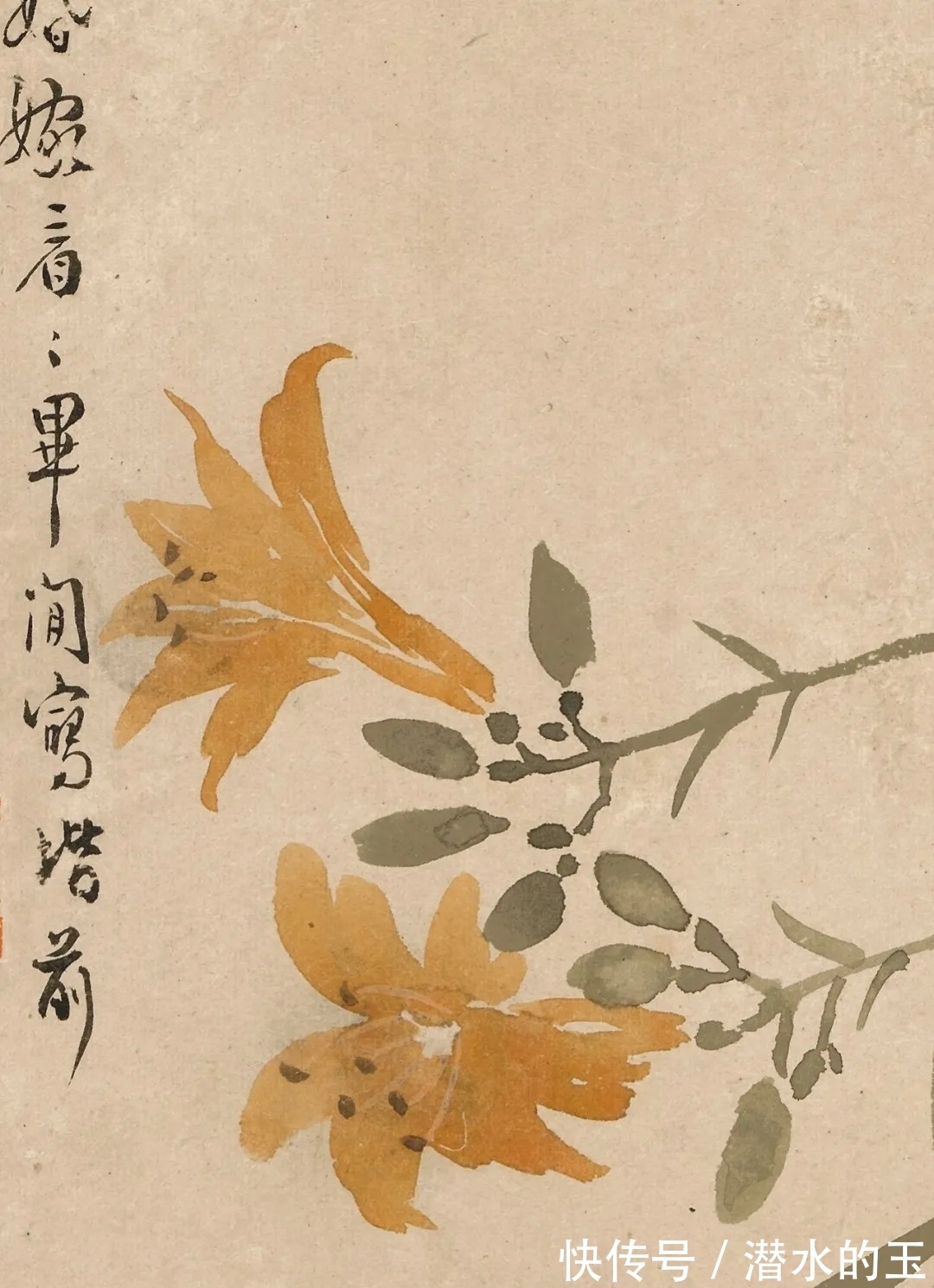 花卉图$汪士慎:一生心事为花忙丨私享艺术