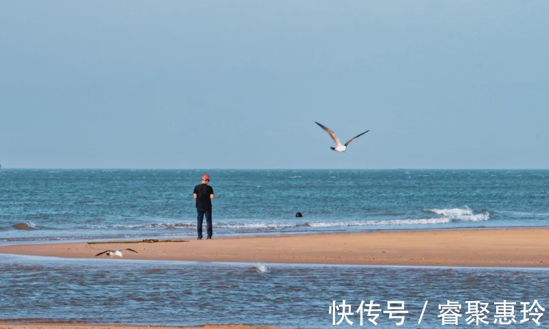 威海|去过三次青岛都没注意到的隔壁小城，海鲜能鲜到人一激灵！