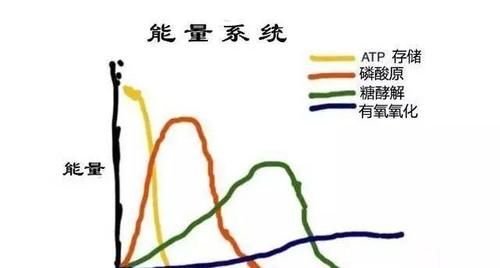 跑步|作为跑者你知道跑步时身体是怎样供能的吗?揭秘人体三大供能系统