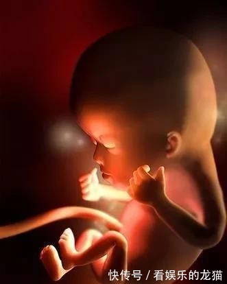 八个月|小宝宝在肚子里掐脐带玩,掐晕了就松开,然后醒了就继续,真调皮