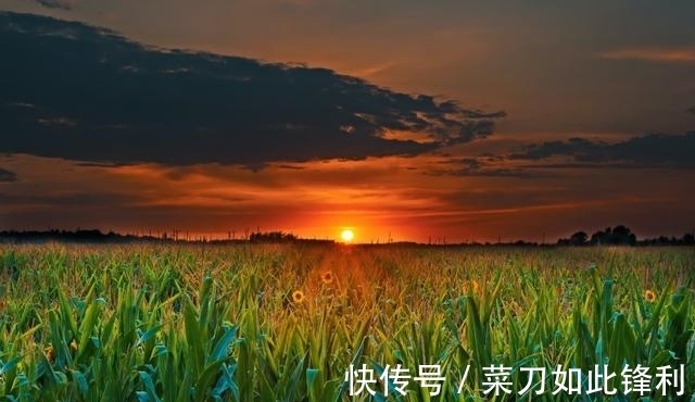 兴趣爱好|脾气好、懂节制的星座，遇事冷静理智，从不慌乱