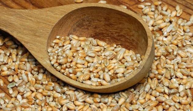 麦子|一味不被人熟知的良药,李时珍却说它善于“补气除热、敛汗止汗”