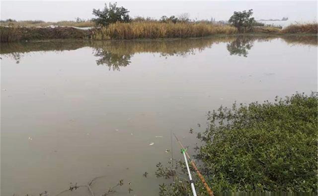 阴转晴|钓鱼与天气:阴天闷热气压低,鱼就一定难钓?夏季阴天如何钓鱼?