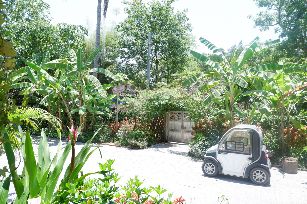 一人|向往的生活蘑菇屋收費參觀,20元一人還送果汁,小院實在太美了