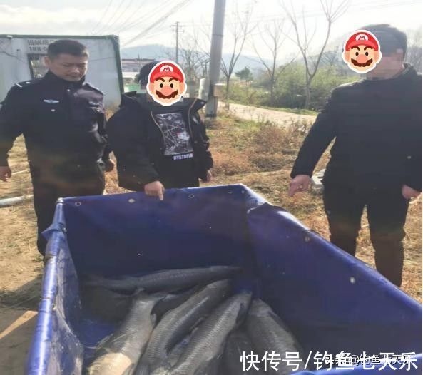一条“标鱼”十几万!安徽一钓场被查封,这样的高价鱼不要再钓了