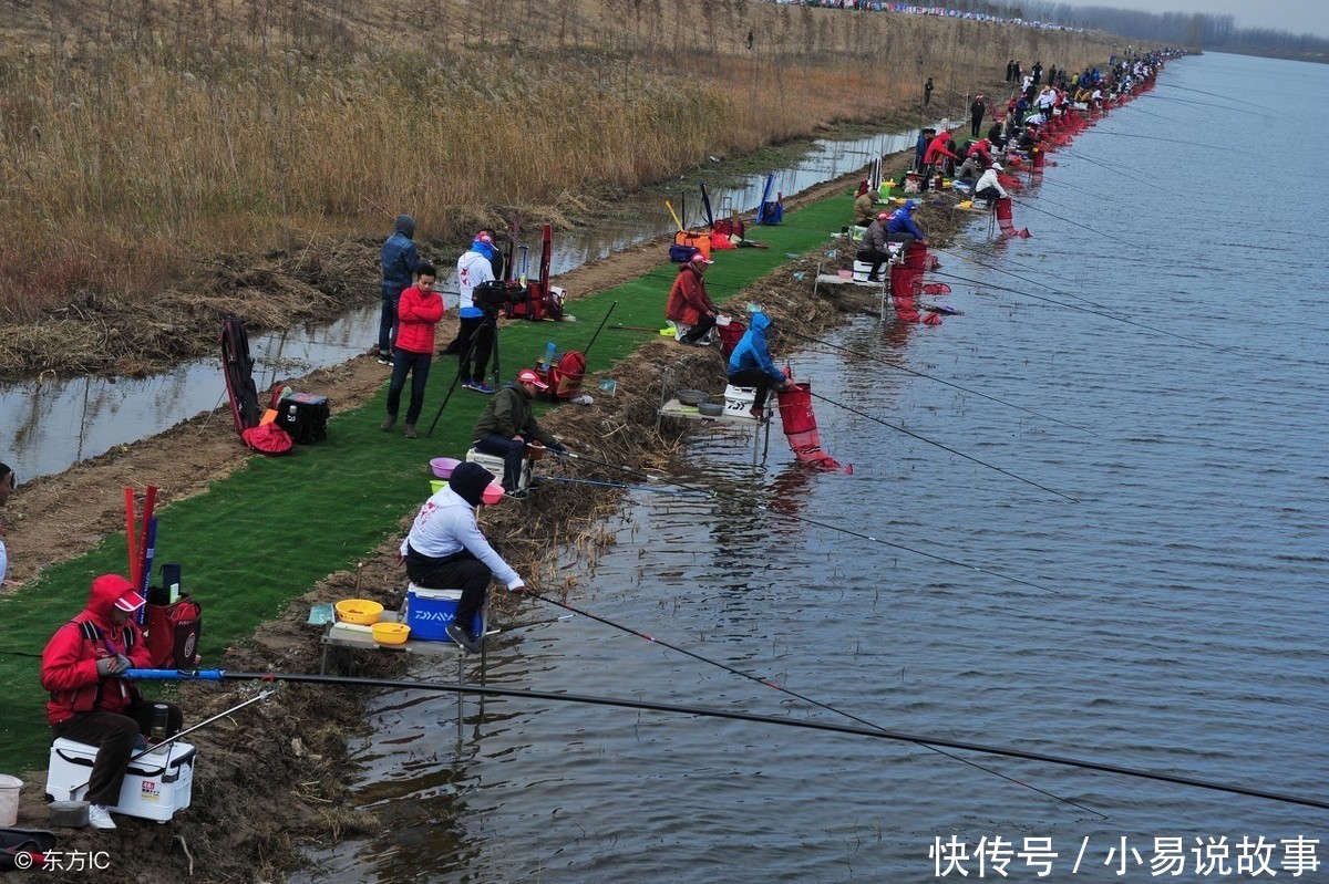 制作发酵玉米粒去钓鱼，进窝全是大鲤鱼、草鱼，效果不会让你失望