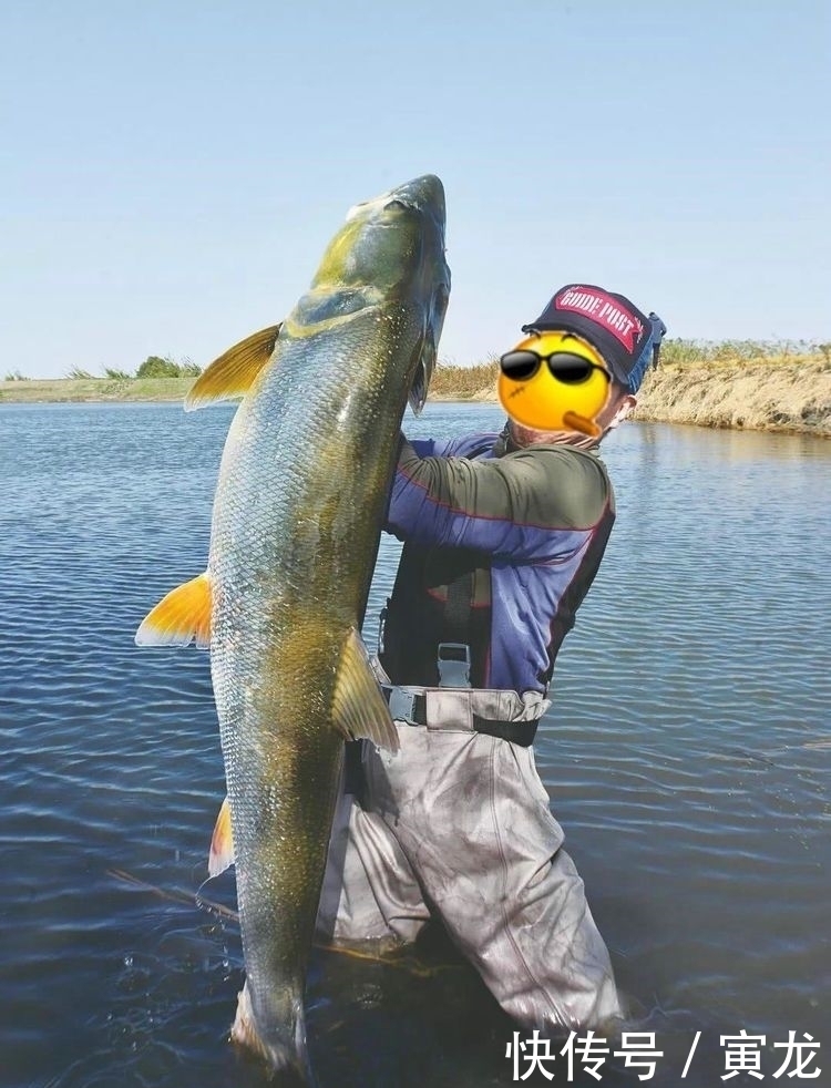 中国还有这地方田间地头的水沟,竟藏着60斤的“水老虎”