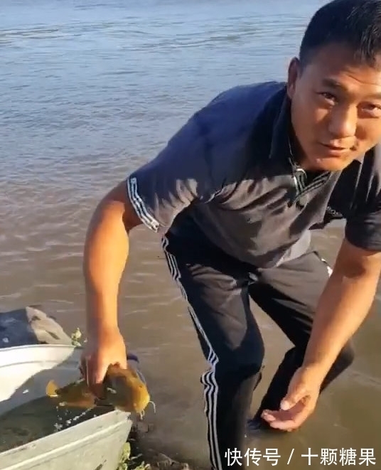 鸭绿江|男子鸭绿江钓到小黄龙，转手放回中