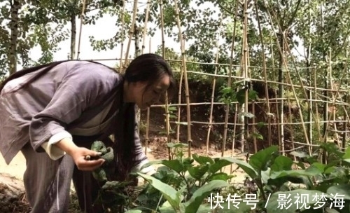 租金@终南山隐士被迫陆续下山,原因是房租不断上涨,想隐居没钱